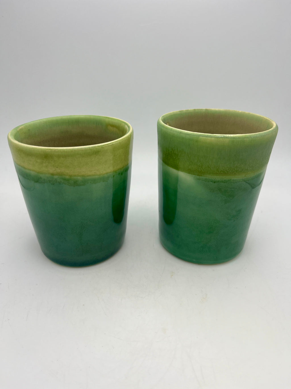 Fern Green Mug