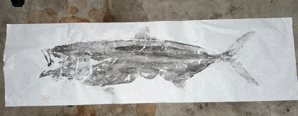 California Yellowtail Print